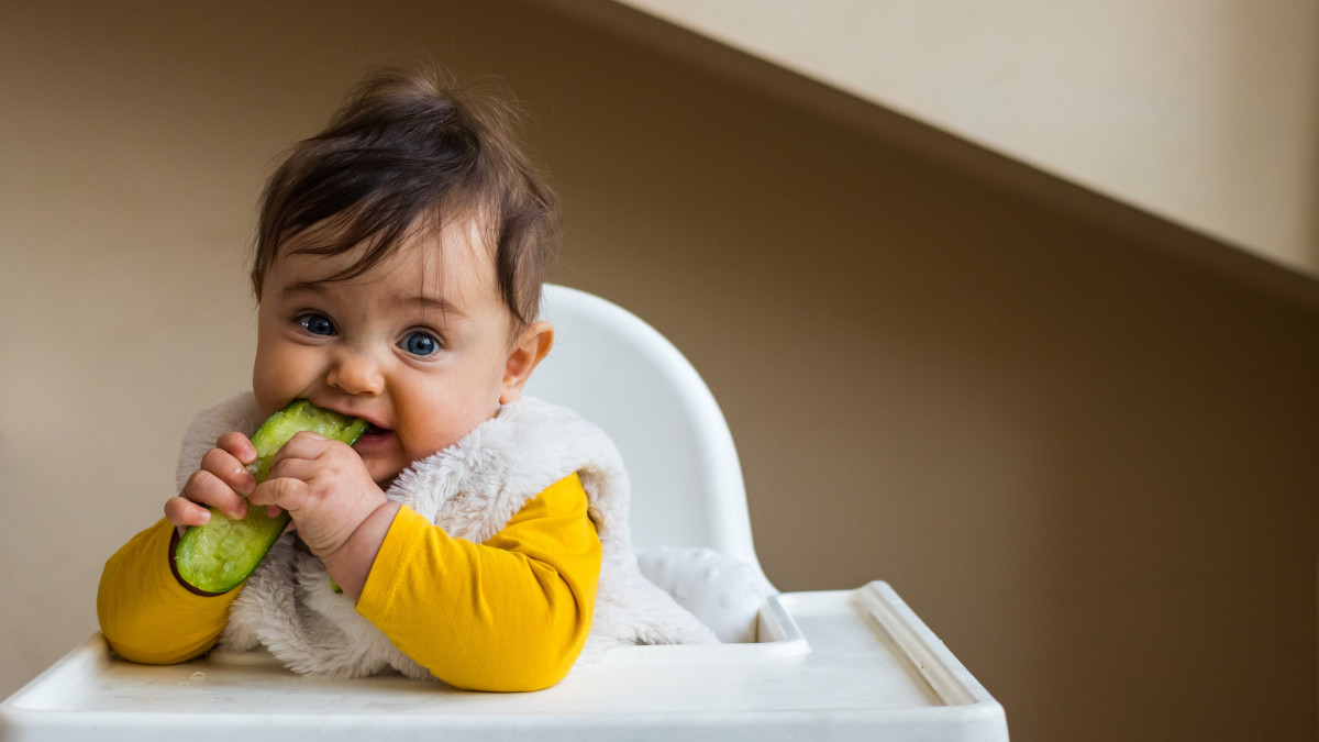 Alimentation végétarienne pour le bébé - LetsFamily