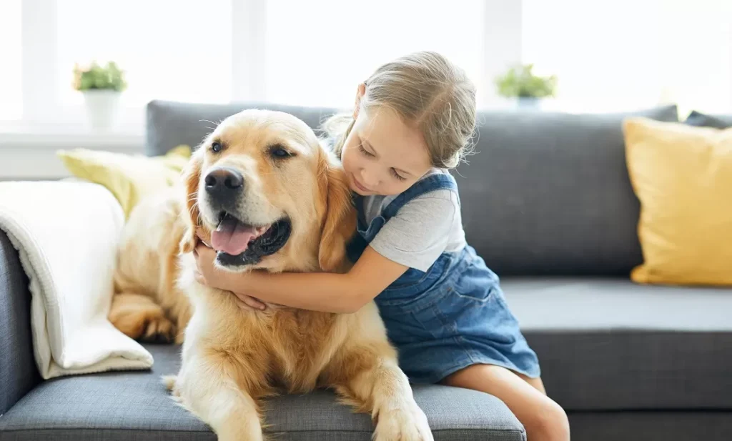 Regeln für Kinder im Umgang mit Hunden © pressmaster / AdobeStock.com