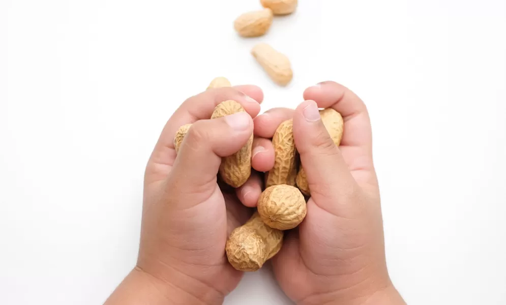 Nüsse gehören nicht in Kinderhände!