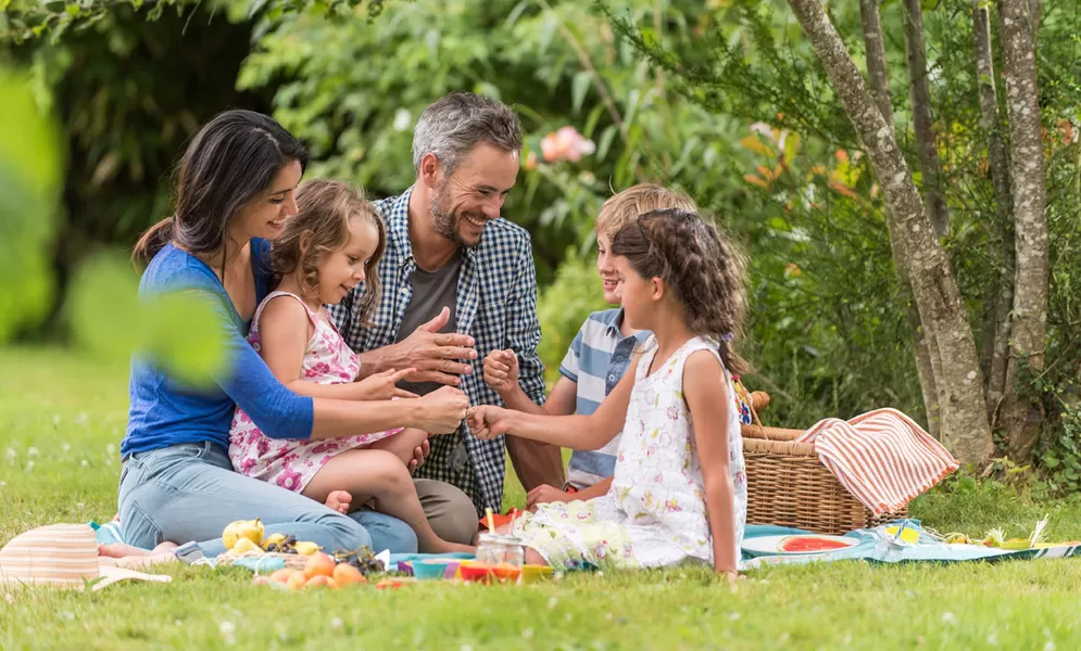 Picknick-Tipps für Familien © jackfrog - AdobeStock.com