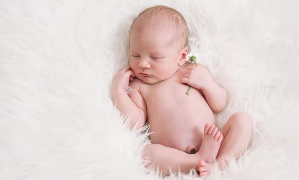 Baby's spannende Entwicklung © larisa_bakina - AdobeStock.com