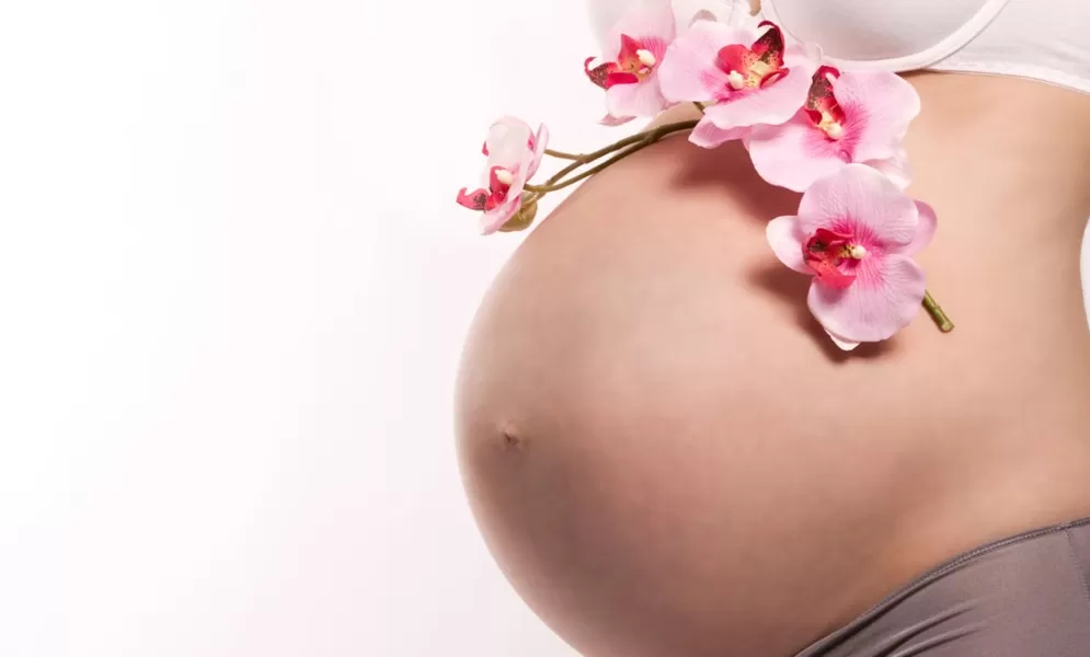 Nabelschnurpunktion in der Schwangerschaft © Oscar Brunet - AdobeStock.com